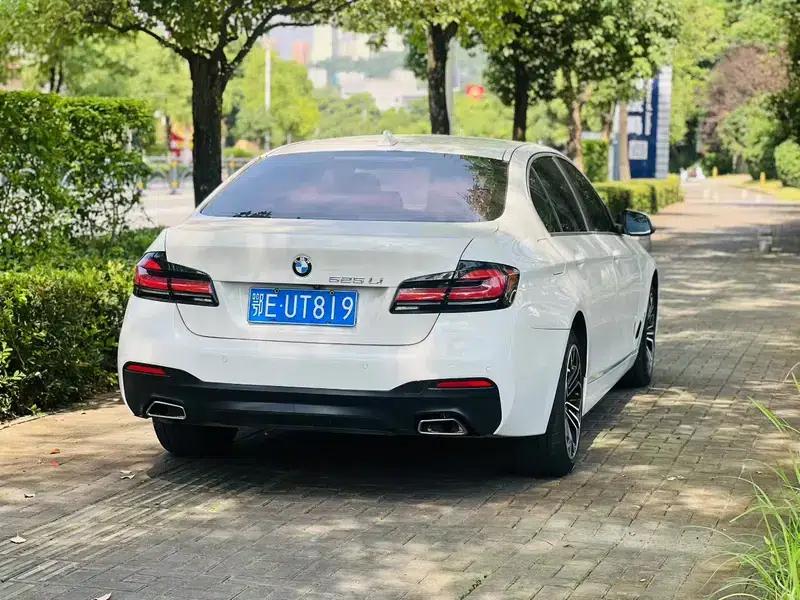 2014 BMW 5 Series 525Li Leading Edition — миниатюра 5