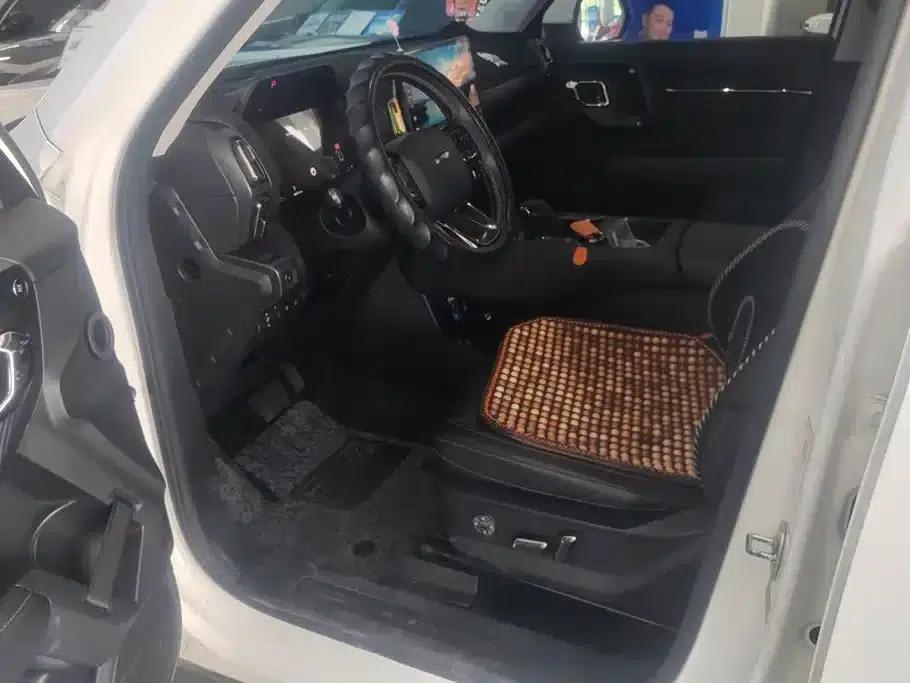 Haval Big Dog PLUS New Energy 2023 DHT-PHEV 105km Trendy Electric Edition Plus — миниатюра 9