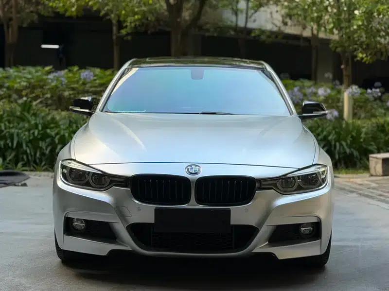 2017 BMW 3 Series 320Li M Sport — миниатюра 2