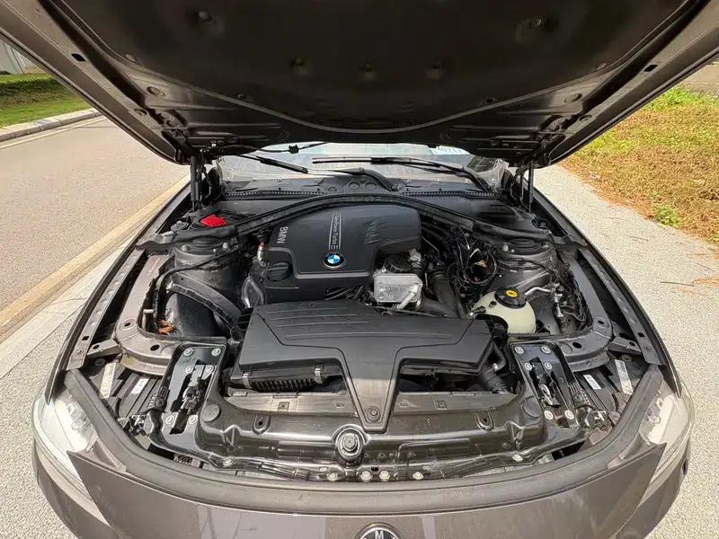 BMW 3 Series 2013 320Li Luxury Design Package — миниатюра 9