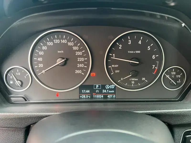 2016 BMW 3 Series 320Li Fashion Edition — миниатюра 14
