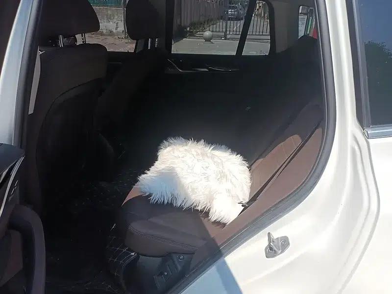 BMW X3 2021 xDrive25i M Sport Package — миниатюра 9