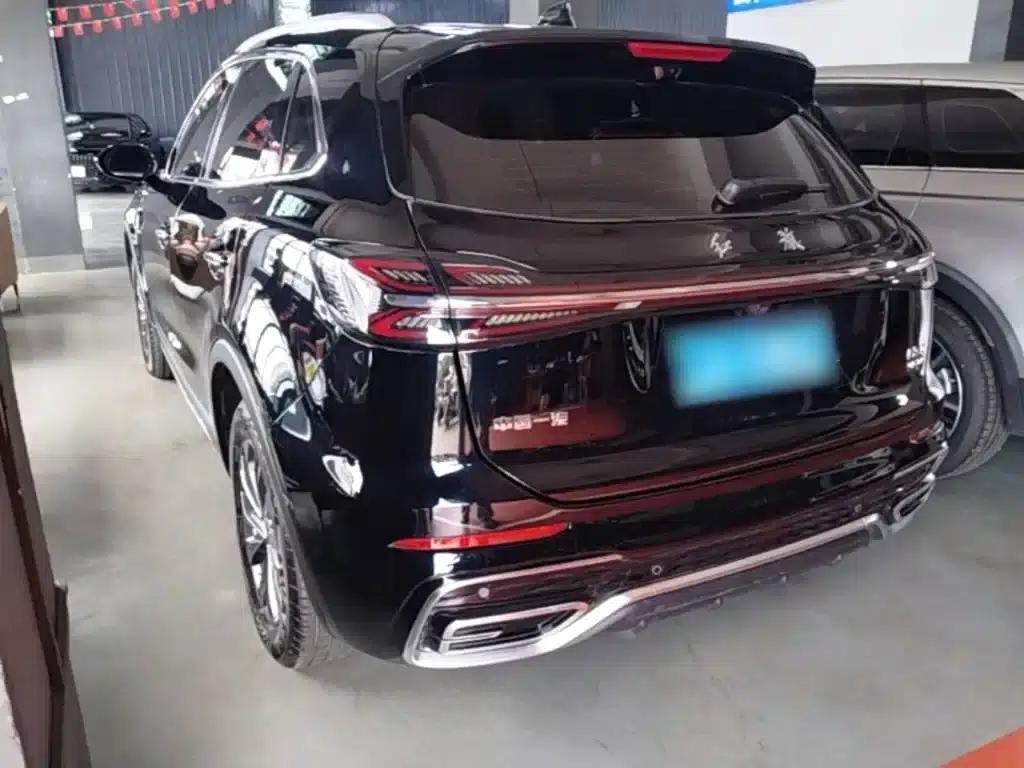 Hongqi HS5 2023 2.0T Flagship Pro 500,000th Unit Commemorative Edition — миниатюра 5