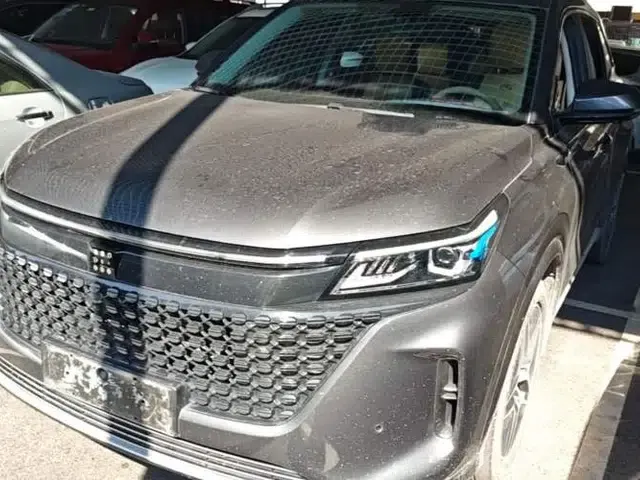 Landian E5 2024 Honor Edition 100KM Premium Model 7 Seats