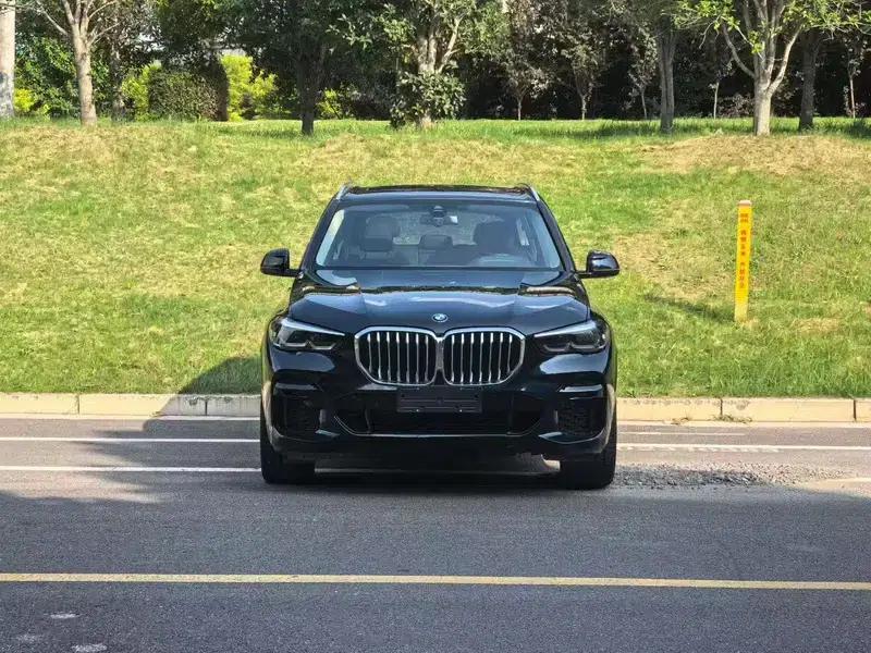 BMW X5 (Imported) 2022 xDrive30i M Sport Package — миниатюра 2