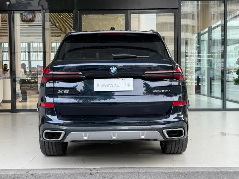 BMW X5 2023 xDrive30Li M Sport Package — миниатюра 6