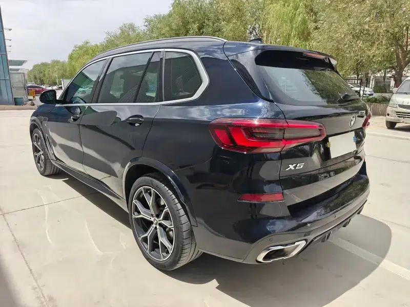 BMW X5 2022 xDrive 40Li Luxury M Sport Package — миниатюра 4
