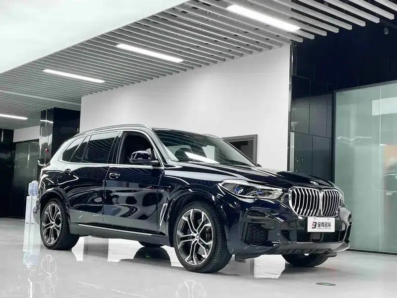 BMW X5 2022 Facelift xDrive 40Li M Sport Package — миниатюра 3
