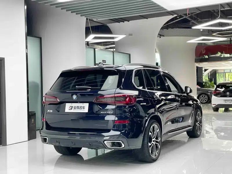 BMW X5 2022 Facelift xDrive 40Li M Sport Package — миниатюра 6