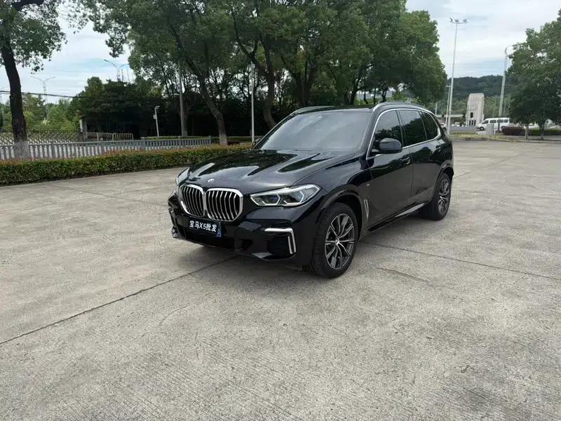 BMW X5 2022 xDrive 30Li Luxury M Sport Package — миниатюра 1
