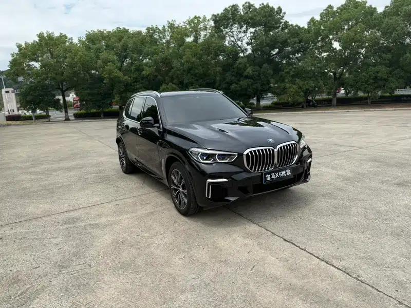 BMW X5 2022 xDrive 30Li Luxury M Sport Package — миниатюра 3
