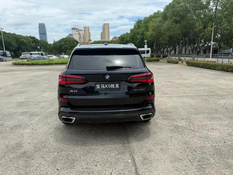 BMW X5 2022 xDrive 30Li Luxury M Sport Package — миниатюра 5