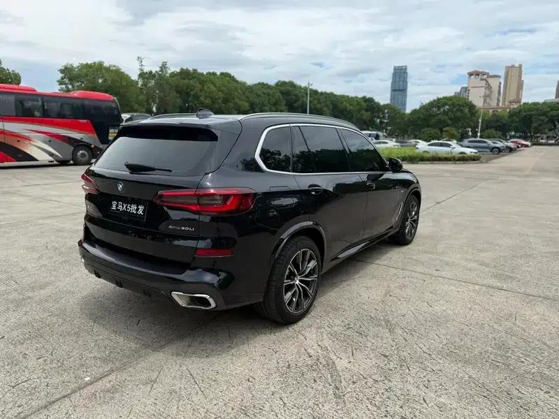 BMW X5 2022 xDrive 30Li Luxury M Sport Package — миниатюра 6