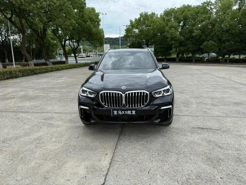 BMW X5 2022 xDrive 40Li Luxury M Sport Package — миниатюра 2