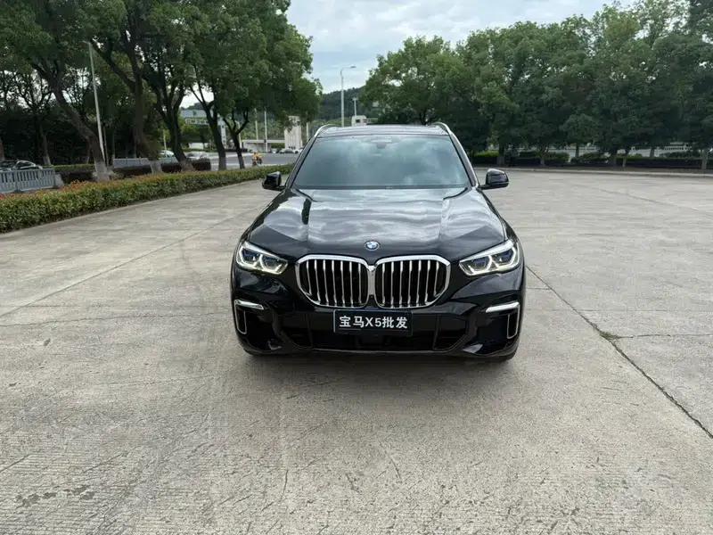 BMW X5 2022 Facelift xDrive 40Li M Sport Package — миниатюра 2
