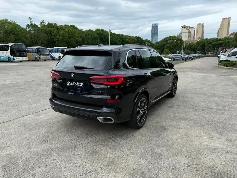 BMW X5 2022 Facelift xDrive 40Li M Sport Package — миниатюра 6