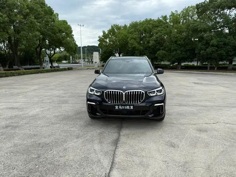 BMW X5 2022 Facelift xDrive 40Li M Sport Package — миниатюра 2