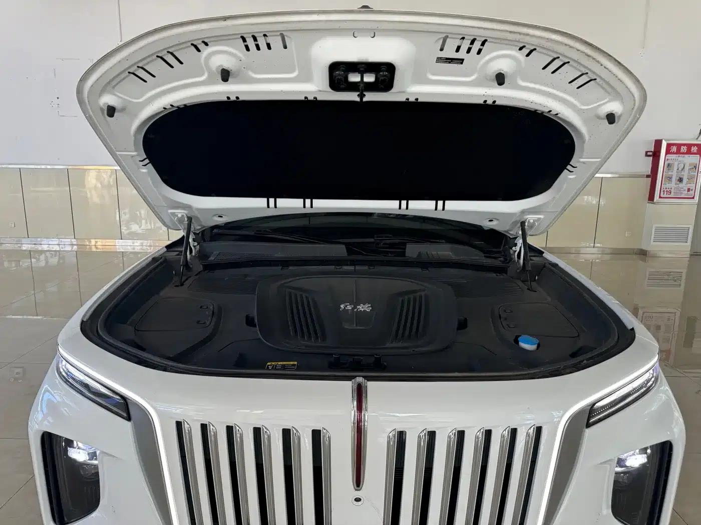 Hongqi E-HS9 2022 Model 660km Flagship Edition (Six Seats) — миниатюра 20