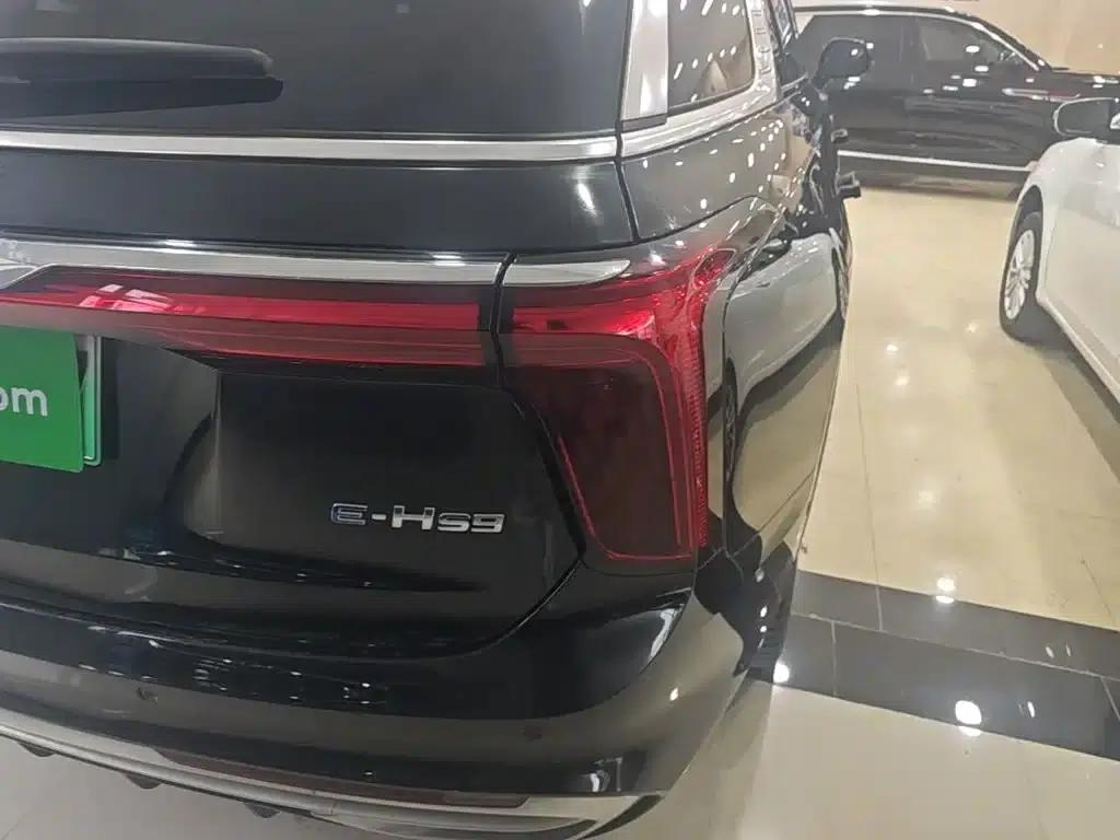 Hongqi E-HS9 2022 Model 690km Flagship Edition (Six Seats) — миниатюра 8