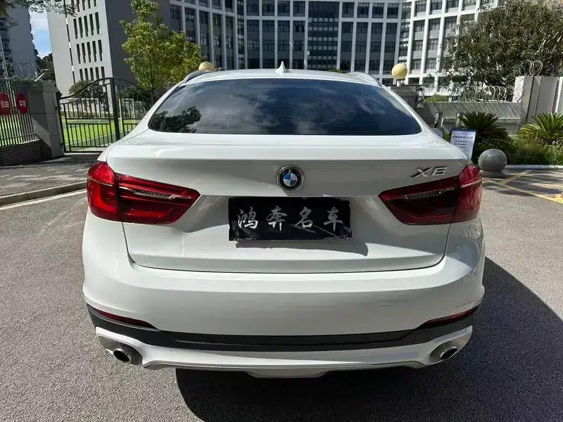 BMW X6 2015 xDrive35i Leading Edition — миниатюра 6