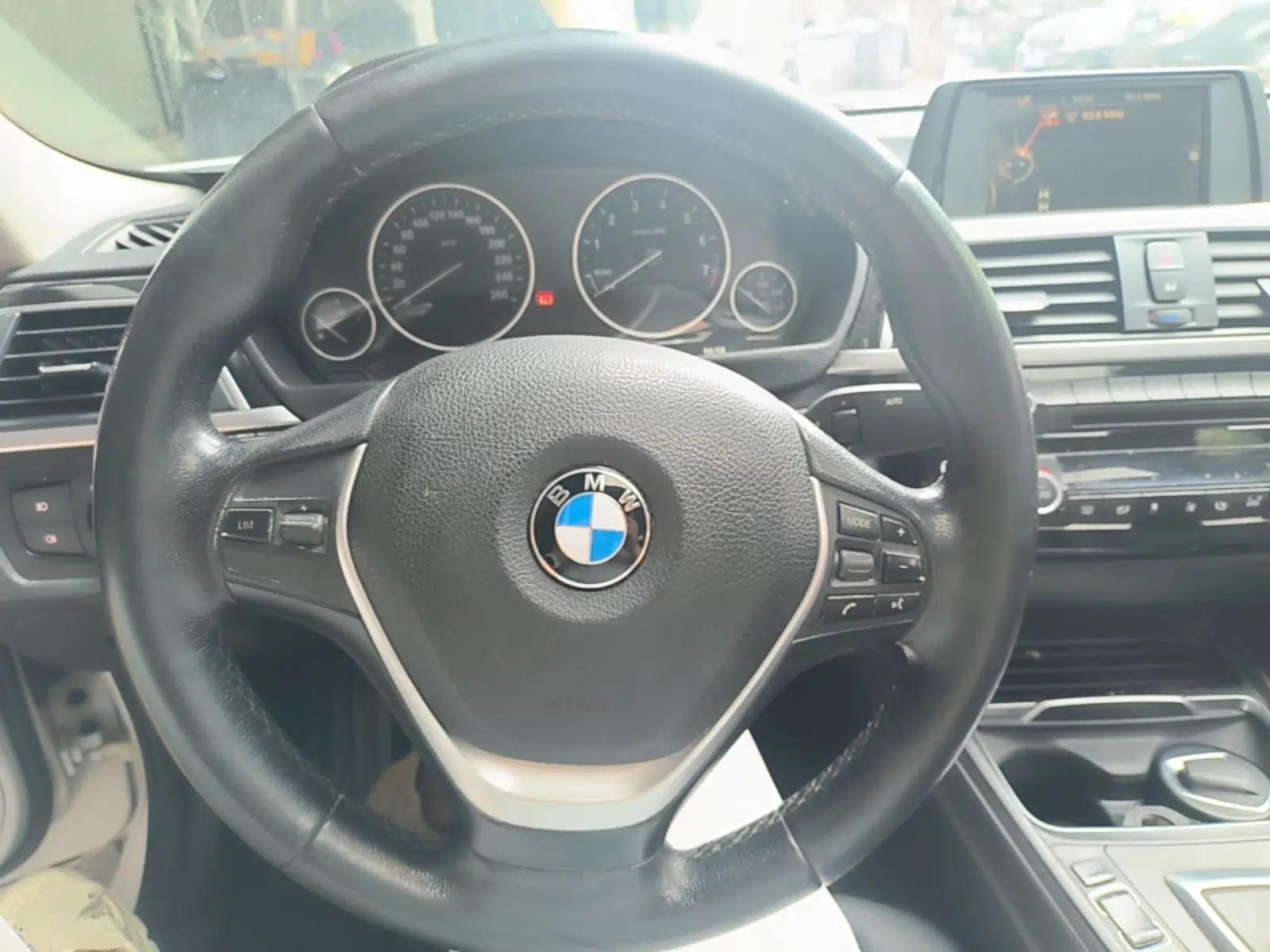 BMW 3 Series 2017 320Li Fashion Model — миниатюра 13