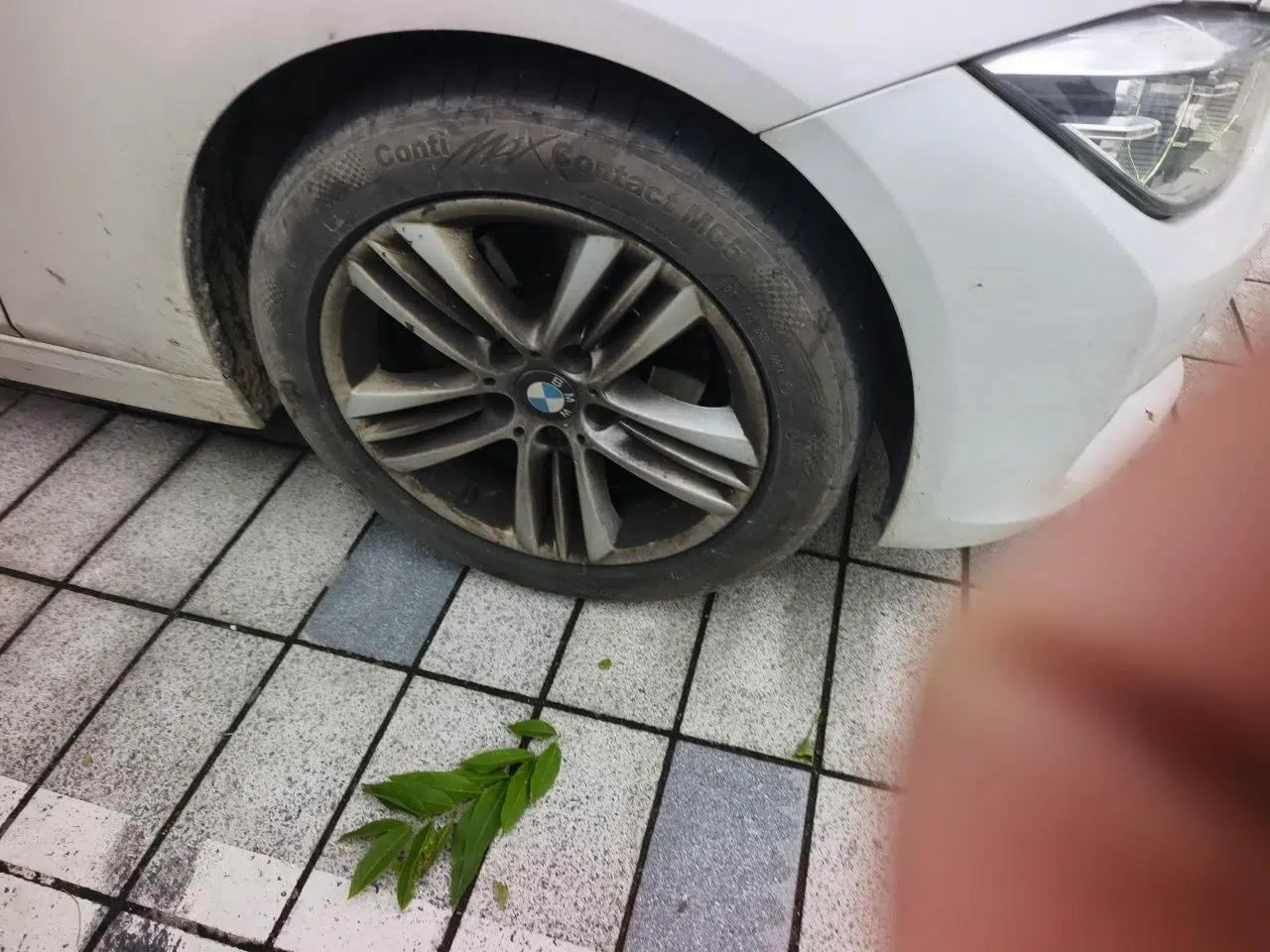 BMW 3 Series 2016 320Li Ambition Model — миниатюра 8