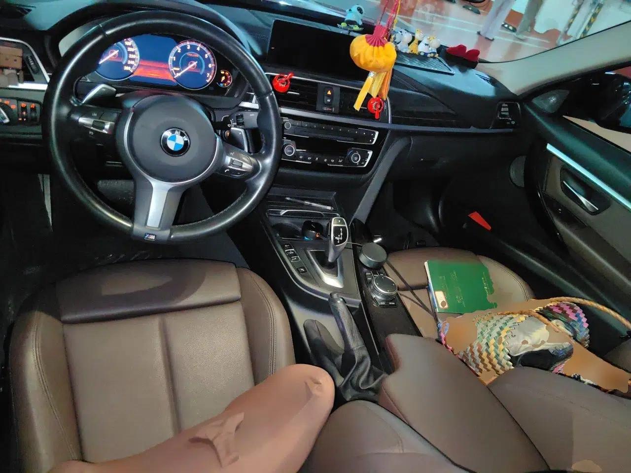 BMW 3 Series 2019 320Li M Sport Night Edition — миниатюра 9