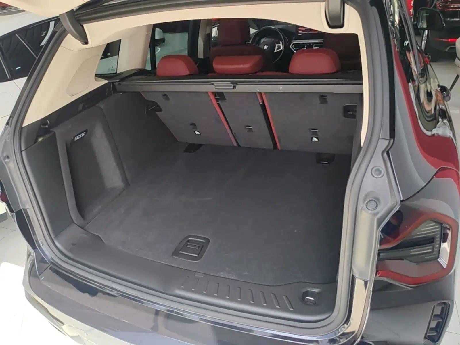 BMW X3 2022 xDrive30i Luxury Model M Night Sky Package — миниатюра 22