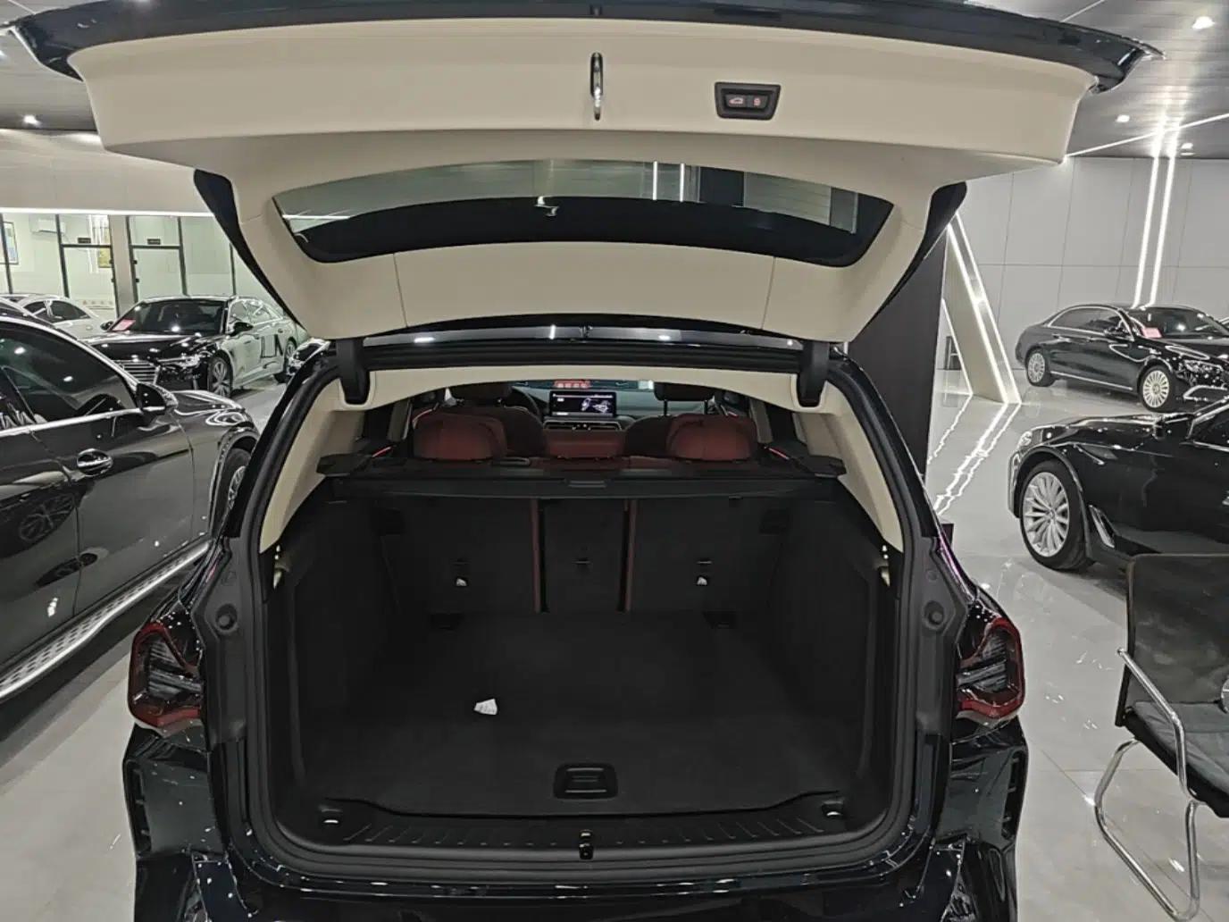 BMW X3 2023 Restyled xDrive30i Leading Edition M Night Sky Package — миниатюра 22