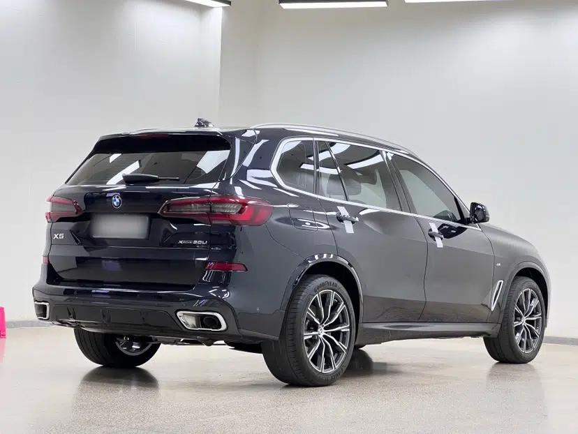 BMW X5 2022 Restyled xDrive 30Li Luxury Version M Sport Package — миниатюра 7
