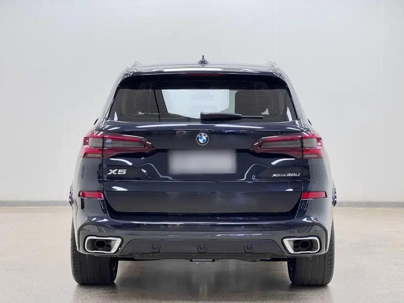 BMW X5 2022 Restyled xDrive 30Li Luxury Version M Sport Package — миниатюра 10