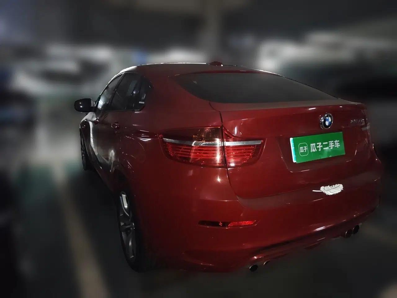 BMW X6 2010 X6 M — миниатюра 4