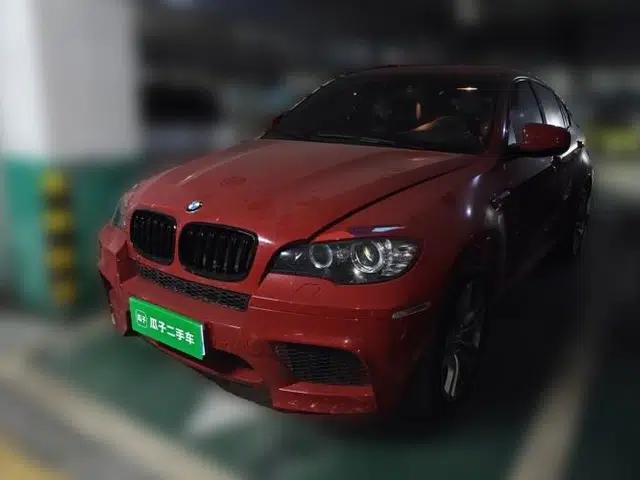 BMW X6 2010 X6 M