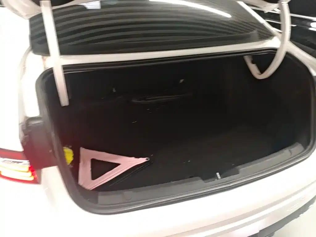 Xingrui 2023 2.0TD Luxury Edition — миниатюра 19