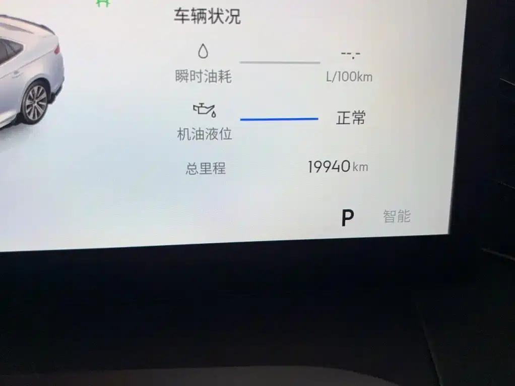 Xingrui 2025 Oriental Yao 2.0TD Lanxing Edition — миниатюра 13