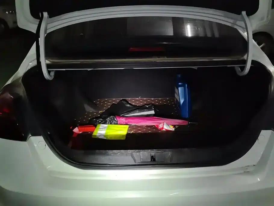 Geely Emgrand 2020 1.5L CVT Upward Edition — миниатюра 4