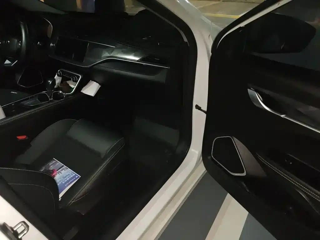 Geely Binrui 2021 1.4T CVT Asian Games Edition — миниатюра 20