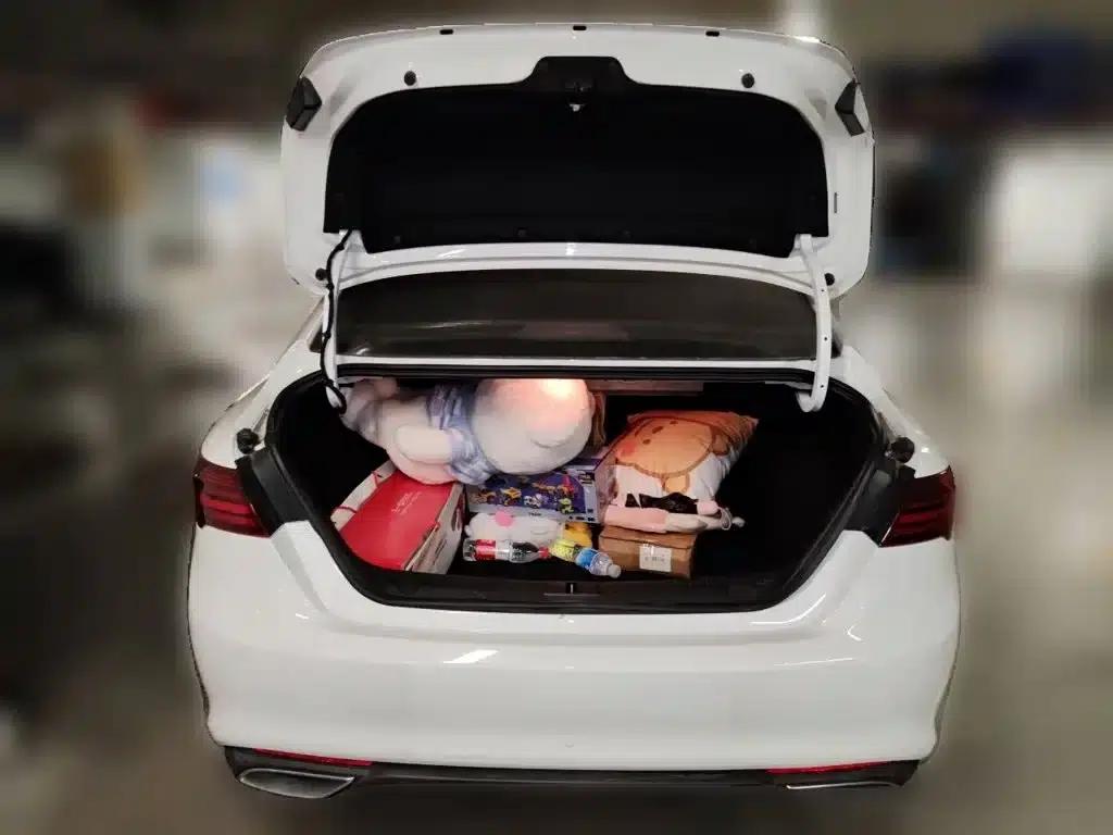 Geely Binrui 2021 1.4T CVT Asian Games Edition — миниатюра 10