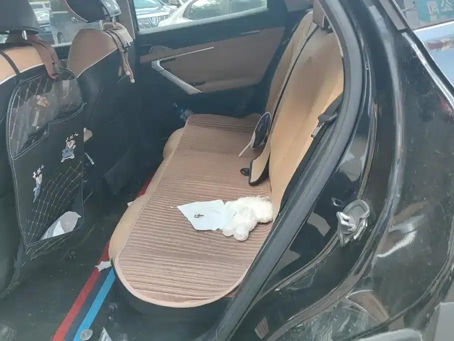 Geely Boyue L 2023 1.5TD DCT Premium Edition — миниатюра 11