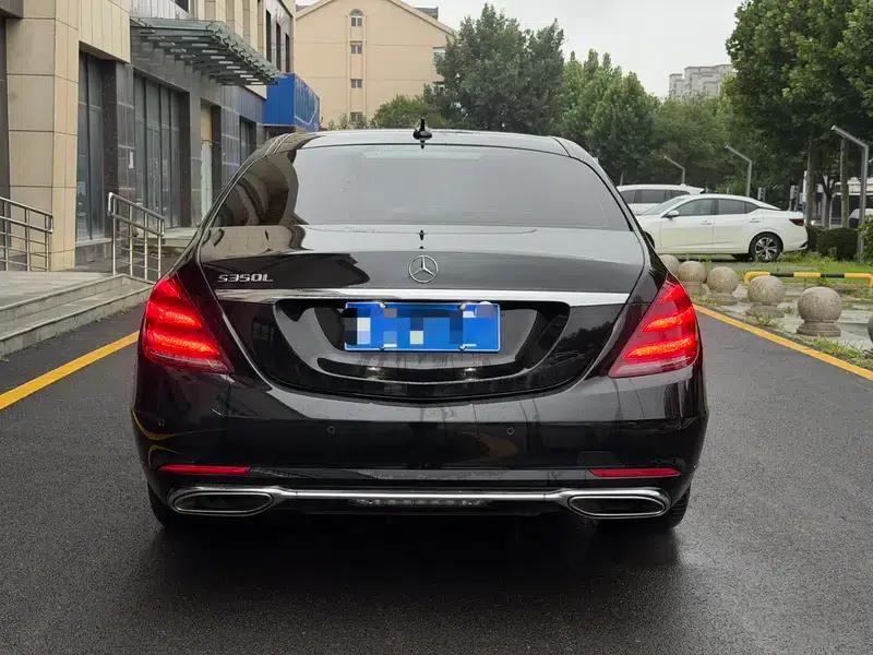 Mercedes-Benz S-Class 2019 S 350 L Luxury — миниатюра 5