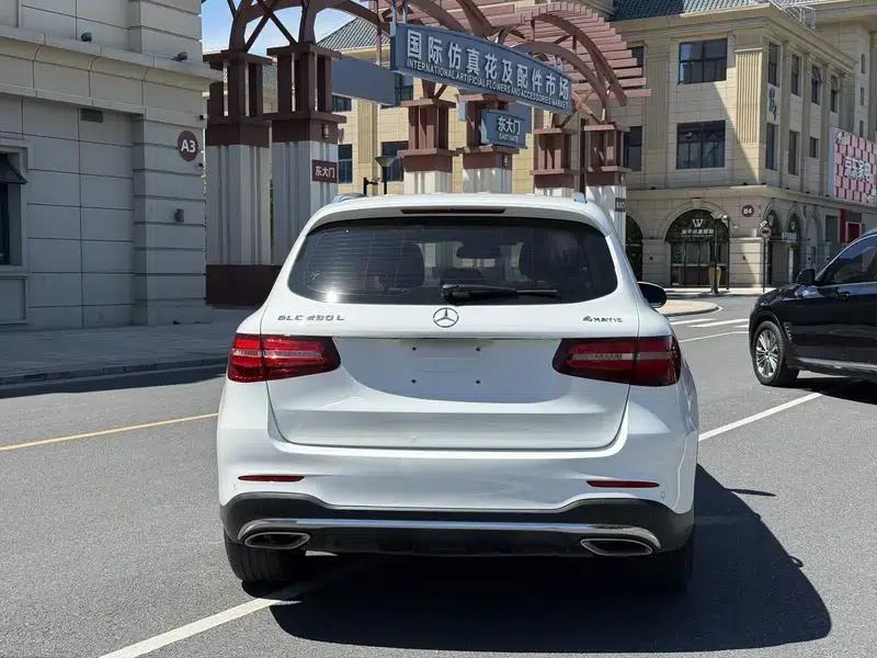 2019 Mercedes-Benz GLC 260 L 4MATIC Dynamic — миниатюра 5