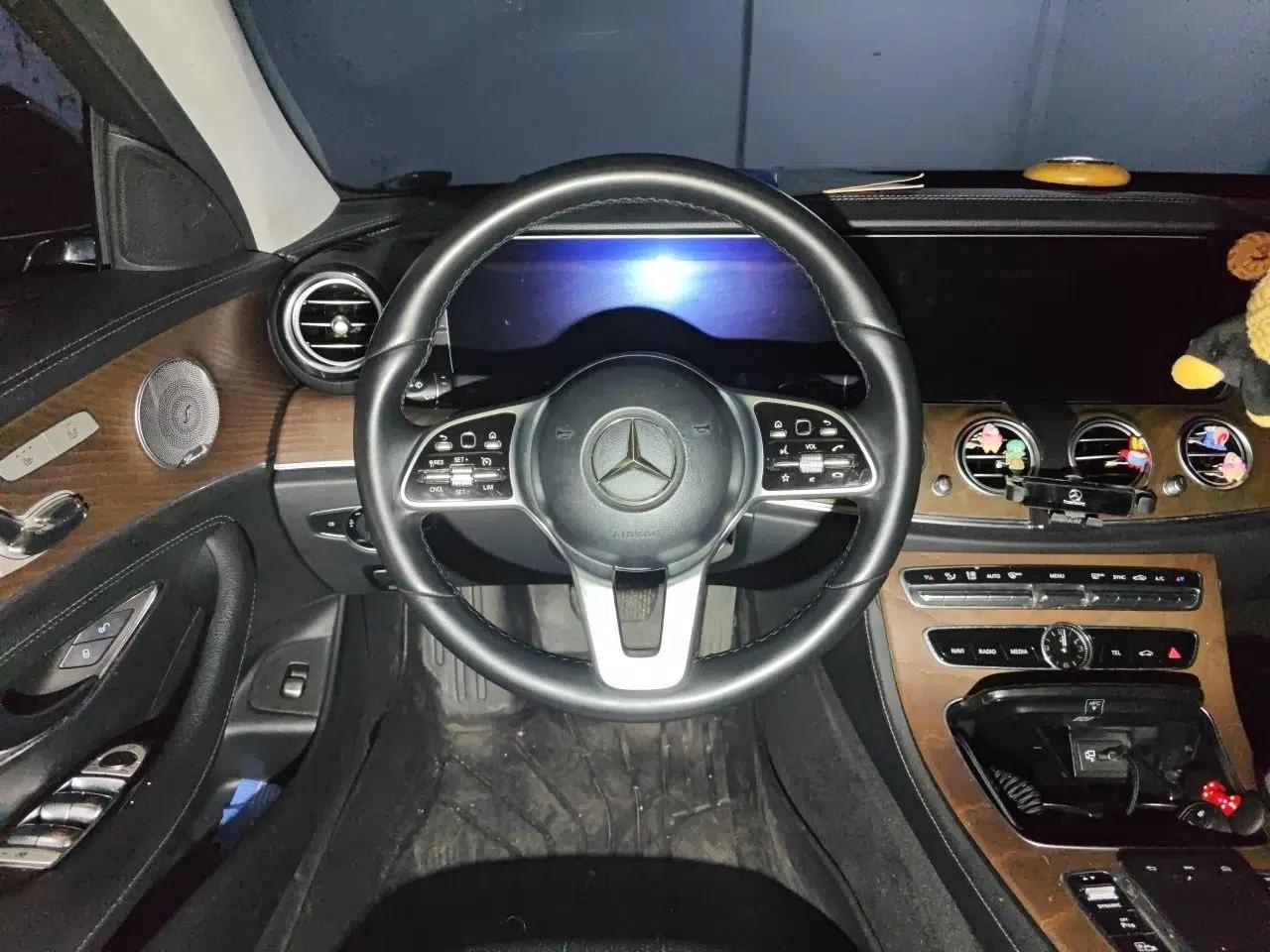 Mercedes-Benz E-Class 2019 Restyled E 300 L Luxury Edition — миниатюра 10