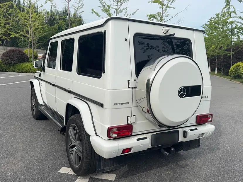 Mercedes-Benz G-Class 2017 G 500 — миниатюра 5