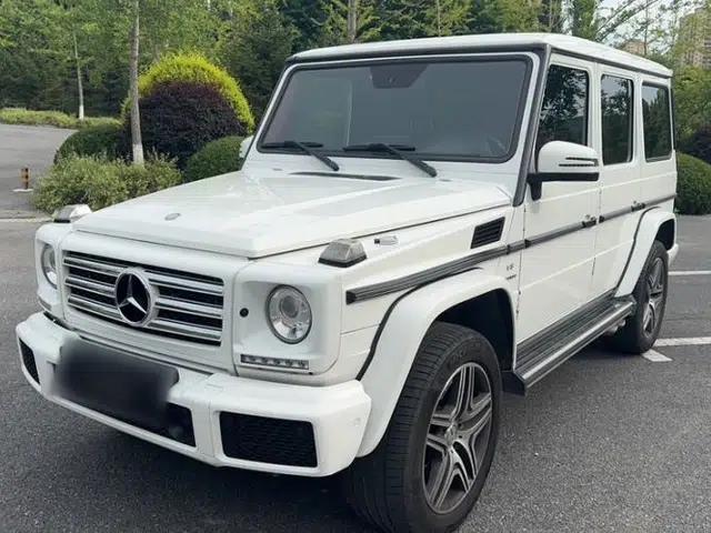 Mercedes-Benz G-Class 2017 G 500