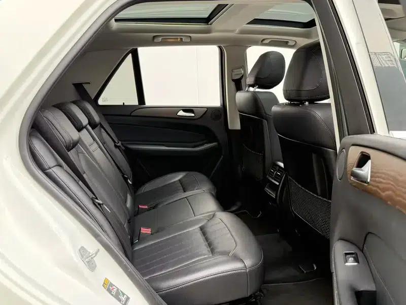 Mercedes-Benz GLE (Imported) 2017 GLE 320 4MATIC Dynamic — миниатюра 12