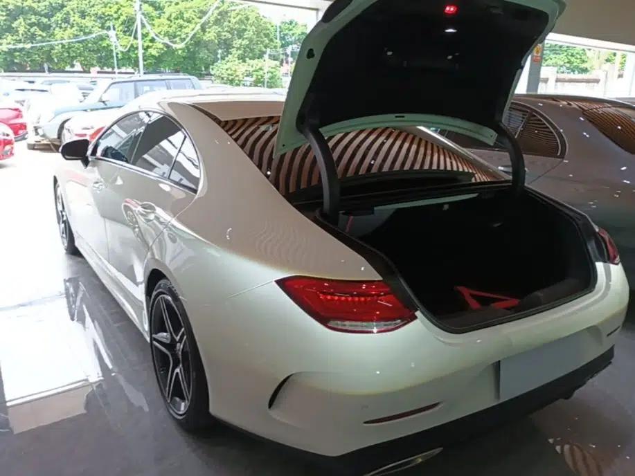 Mercedes-Benz CLS 2020 CLS 300 Sport Edition — миниатюра 4