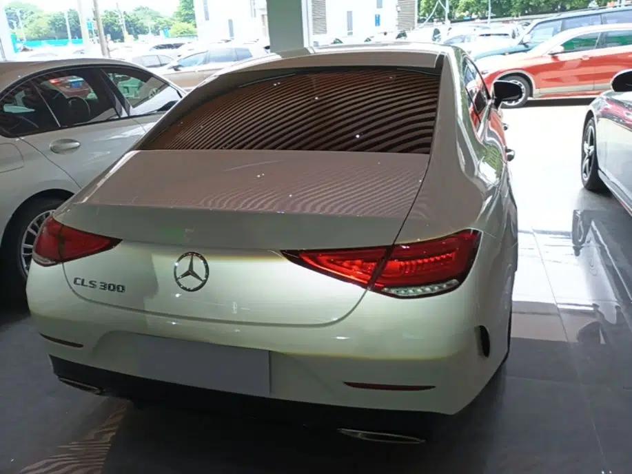 Mercedes-Benz CLS 2020 CLS 300 Sport Edition — миниатюра 5