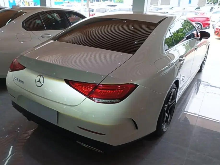 Mercedes-Benz CLS 2020 CLS 300 Sport Edition — миниатюра 6