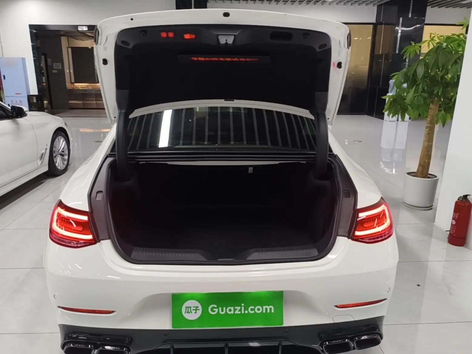Mercedes-Benz CLS 2022 CLS 300 Sport Edition — миниатюра 22