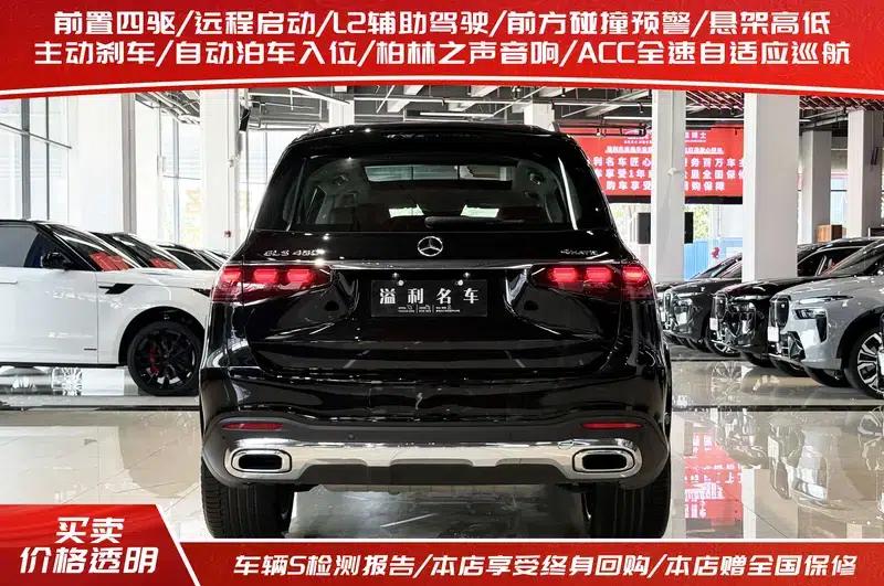 2024 Mercedes-Benz GLS 450 4MATIC Luxury — миниатюра 4